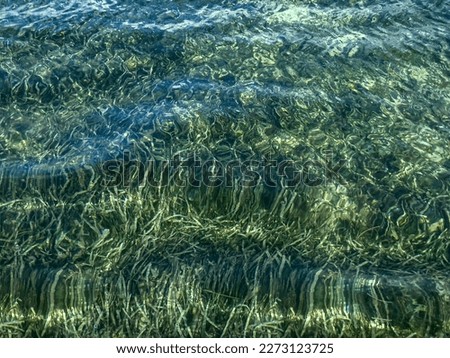 Abstract sea background, views on the rippled water surface, underwater seaweed background.