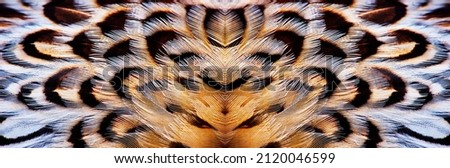 Abstract seamless symmetric pattern of feathers of fieldfare close-up as background. An ornamental surreal tracery of bird feathers. Wide image with mirror effect