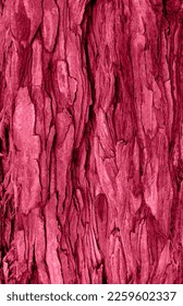 Abstract sequoia bark background toned in trendy magenta color of year 2023. Natural background for your design. Copy space.