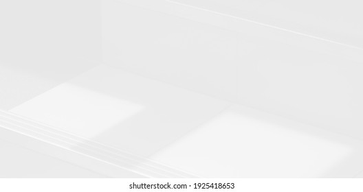 Abstract Shadow. blur background. gray leaves that reflect concrete walls on a white wall surface for blurred backgrounds and monochrome wallpapers. - Shutterstock ID 1925418653