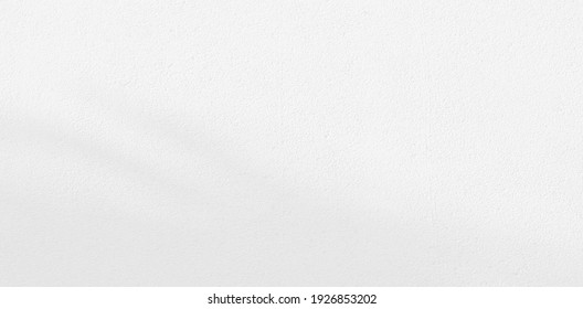 Abstract Shadow. blur background. gray leaves that reflect concrete walls on a white wall surface for blurred backgrounds and monochrome wallpapers.