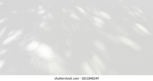 Abstract Shadow. blurred background. gray leaves that reflect concrete walls on a white wall surface for blurred backgrounds and monochrome wallpapers. - Shutterstock ID 1811848249