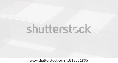 Abstract Shadow. blurred background. gray leaves that reflect concrete walls on a white wall surface for blurred backgrounds and monochrome wallpapers.