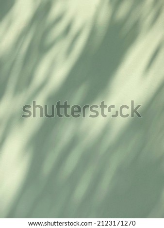 abstract shadow of the leaves on green concrete wall background