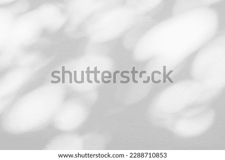 Abstract shadow and light blurred background with light bokeh. Natural gray shadows of leaves tree branch on white wall. Shadow overlay effect for foliage mockup, banner graphic layout
