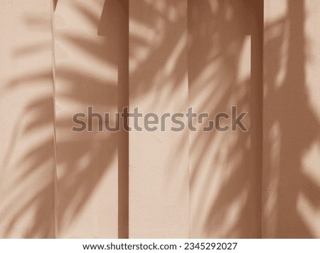 abstract shadow of palm leaf on cocnrete wall background, sepia color tone