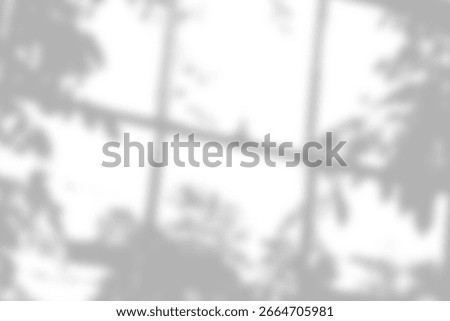 Abstract shadow of tree branches through a window, offering soft lighting effects.
