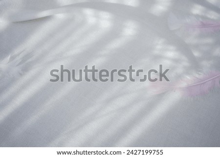 Abstract shadows of plants on a white fabric on which feathers lie. Morning sunlight