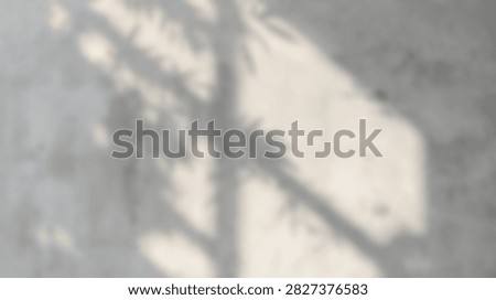 Abstract shadows of tree branches cast on a rough concrete surface, creating a natural and organic pattern.