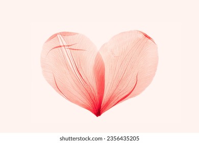 Abstract shape heart from pink red delicate flower petals, natural texture pressed leaf on pele pink background. Macro texture, minimal botanical design card, wedding invitation, monochrome aesthetic