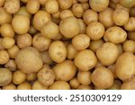 Abstract shapes, patterns and textures of piles of potatoes. Potatoes look clean and fresh. For graphic design or banner background. Harvest potatoes