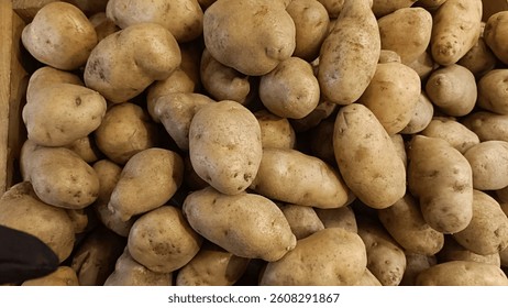 Abstract shapes, patterns and textures of piles of potatoes. Potatoes look clean and fresh. For graphic design or banner background. Harvest potatoes