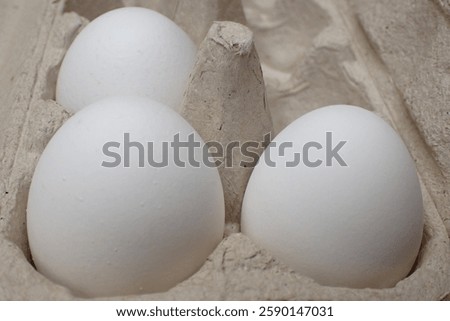 Abstract side view of three eggs in a gray cardboard egg carton