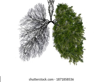 Abstract silhouette of lungs on a white background . Trees are the lungs of the planet. Air purification. Ecological concept. Tree branch. The concept of pneumonia and bronchitis.