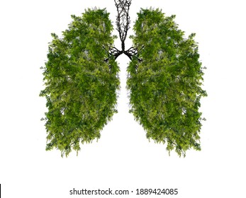 Abstract silhouette of lungs on a white background . Trees are the lungs of the planet. Air purification. Ecological concept. Tree branch. Healthy lung.