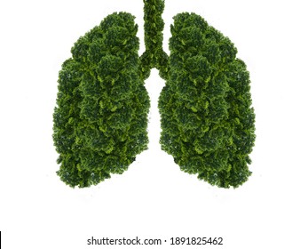 Abstract silhouette of lungs on a white background . Trees are the lungs of the planet. Air purification. Ecological concept. Tree branch. Healthy lung.
