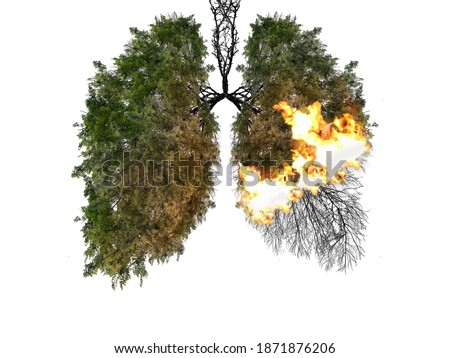 Abstract silhouette of lungs on a white background . Trees are the lungs of the planet. Air pollution. Harm to nature. Ecological concept. Tree branch. The concept of pneumonia and bronchitis.