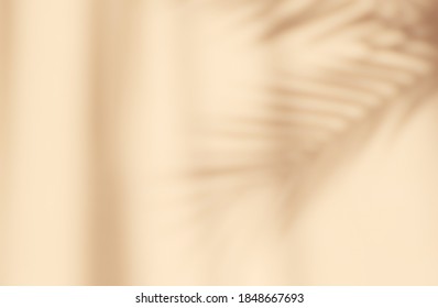 Abstract silhouette shadow beige background of natural leaves tree branch falling on wall. Transparent blurry shadow of tropical leaves morning sun light. - Shutterstock ID 1848667693