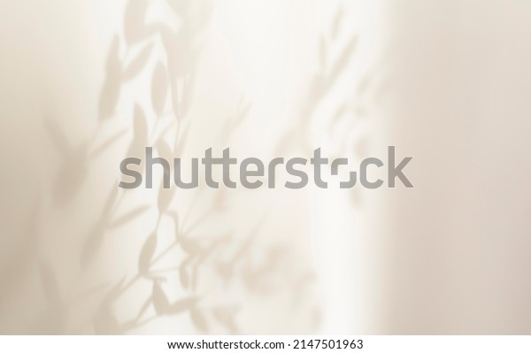 Abstract\
silhouette shadow overlay white background of natural leaves tree\
branch falling on wall. Transparent blurred focus shadows leaf in\
morning sun light. Copy space for\
text.