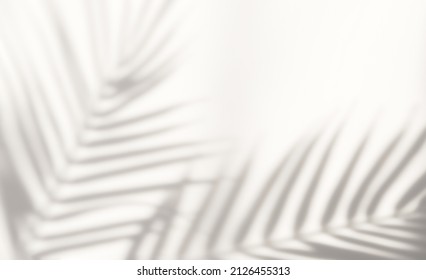 Abstract Silhouette Shadow White Background Of Natural Leaves Tree Branch Falling On Wall. Transparent Blurry Shadow Of Tropical Leaves Morning Sun Light.