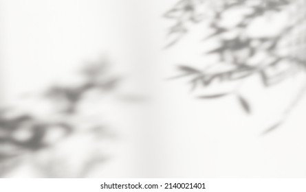 Abstract silhouette shadow white background of natural leaves tree branch falling on wall. Transparent blurry shadow leaf in morning sun light. Copy space for text. Blurred defocus backdrop. - Shutterstock ID 2140021401