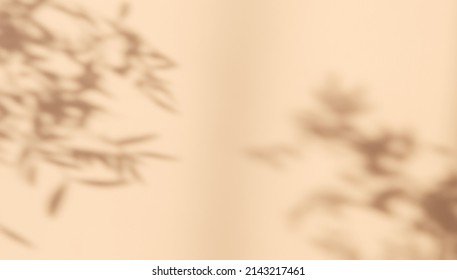 Abstract silhouette shadow white background of natural leaves tree branch falling on wall. Transparent blurry shadow leaf in morning sun light. - Shutterstock ID 2143217461