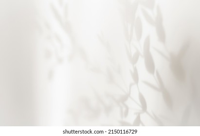 Abstract silhouette shadow white background of natural leaves tree branch falling on wall. Transparent blurry shadows leaf in morning sun light.