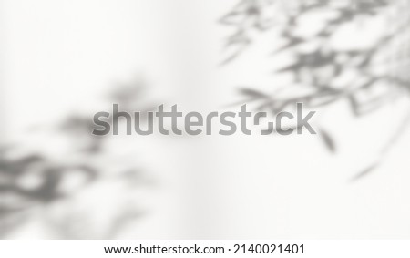 Abstract silhouette shadow white background of natural leaves tree branch falling on wall. Transparent blurry shadow leaf in morning sun light. Copy space for text. Blurred defocus backdrop.