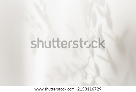 Abstract silhouette shadow white background of natural leaves tree branch falling on wall. Transparent blurry shadows leaf in morning sun light.