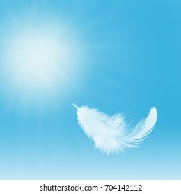 Abstract Single White Feather Falling In The Sky