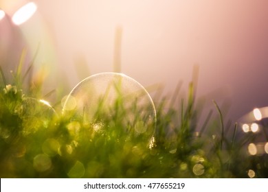 Abstract soft background with a soap buble on the grass.