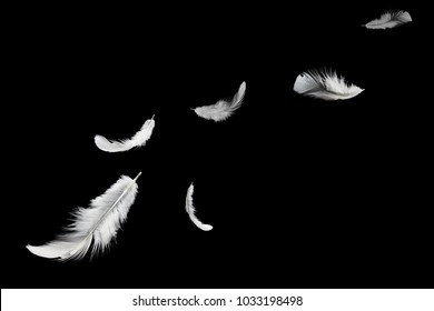 Abstract, soft white feather floating in the air, isolated on black background