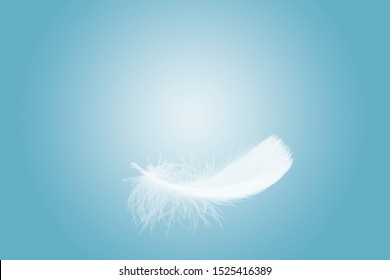 Light Weight White Feather Floating Sky Stock Photo (Edit Now) 1022385268