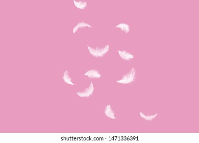 Abstract Solf White Feathers Falling Down In The Air. Isolated On Pink Background