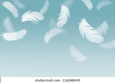 Abstract Solf White Feathers Floating In The Air
