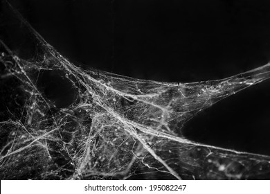 https://image.shutterstock.com/image-photo/abstract-spiderweb-on-black-background-260nw-195082247.jpg