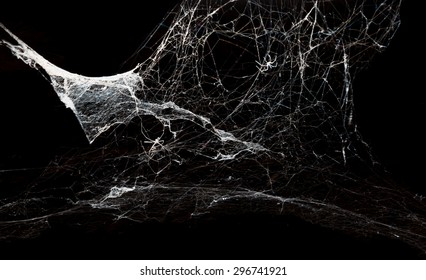 Abstract Spiderweb On Black Background