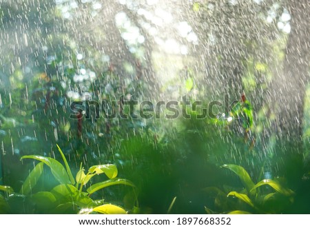 Similar – Foto Bild Blick durchs Fenster nach dem Regen