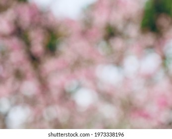 Abstract spring background with bokeh 