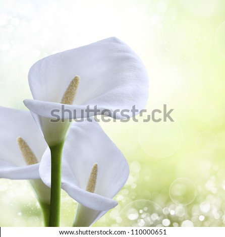abstract spring background with bokeh effects.