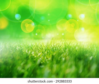 Abstract spring background with grass Defocus