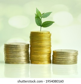 Abstract stacked coins Concept of economic growth Investment reports and financial valuation. - Shutterstock ID 1954080160