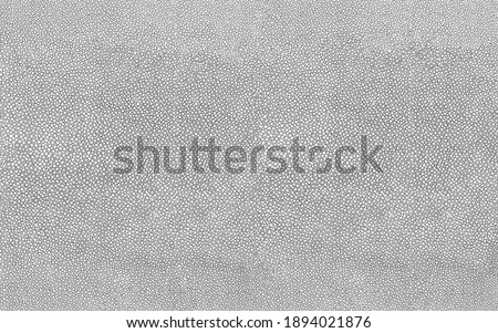 Abstract stingray fish skin pattern black and white