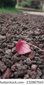 Abstract and stone texture for background