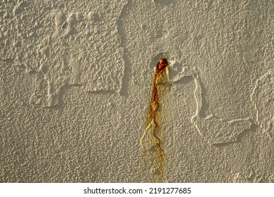 Abstract Stone Texture. Background For Design Purpose. Light Cream Color With Metal Rust Drip.