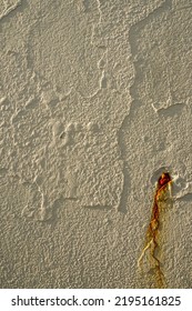 Abstract Stone Texture. Background For Design Purpose. Light Cream Color With Metal Rust Drip.