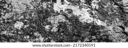 Abstract Stone Texture. Black and White Pattern. Organic Texturized Background