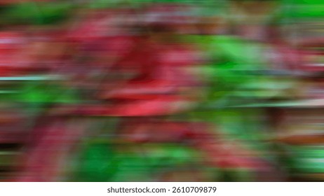 Abstract streaking motion blur over red and green plants creates a trail suggesting fast movement in a natural setting.