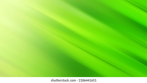 motion tropical  background