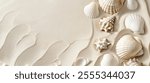 Abstract summer background with white sand and sea shells